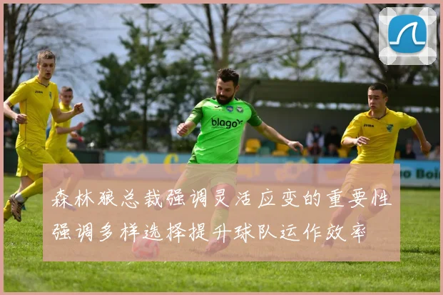 森林狼总裁强调灵活应变的重要性强调多样选择提升球队运作效率