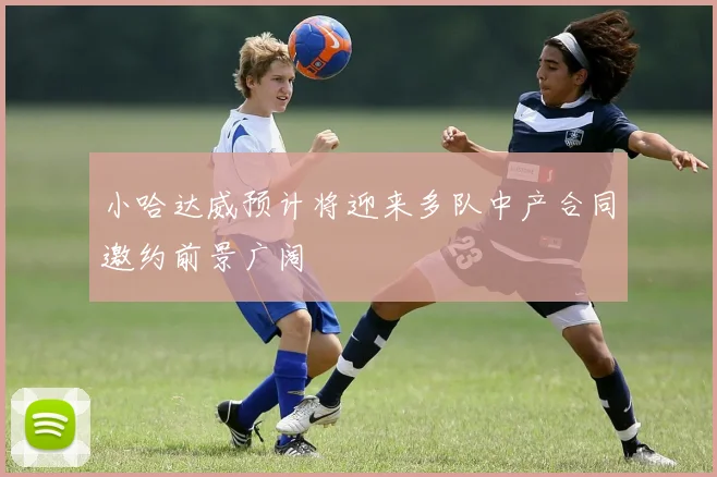 小哈达威预计将迎来多队中产合同邀约前景广阔