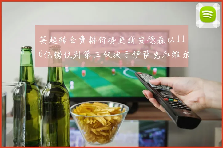 英超转会费排行榜更新安德森以116亿镑位列第三仅次于伊萨克和维尔茨