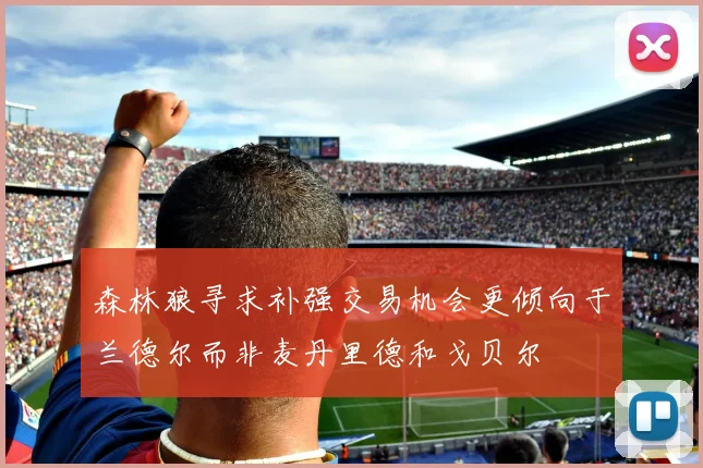 森林狼寻求补强交易机会更倾向于兰德尔而非麦丹里德和戈贝尔