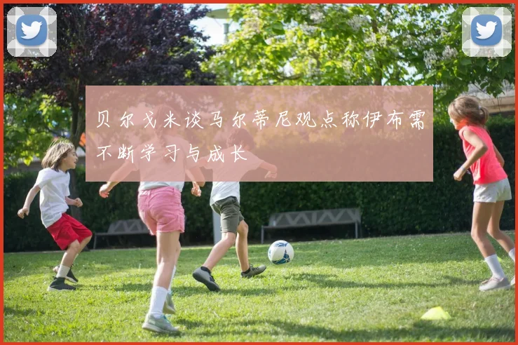 贝尔戈米谈马尔蒂尼观点称伊布需不断学习与成长