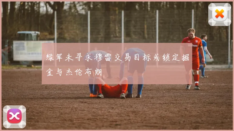 绿军未寻求穆雷交易目标或锁定掘金与杰伦布朗
