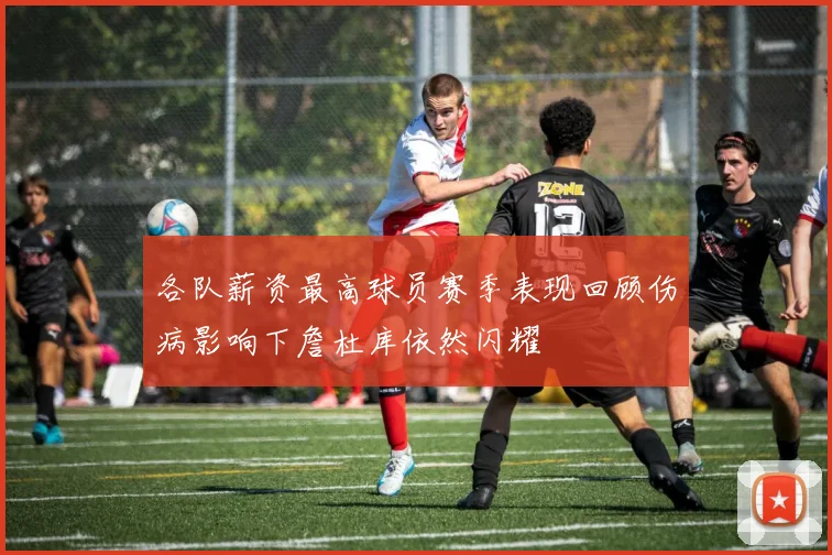 各队薪资最高球员赛季表现回顾伤病影响下詹杜库依然闪耀