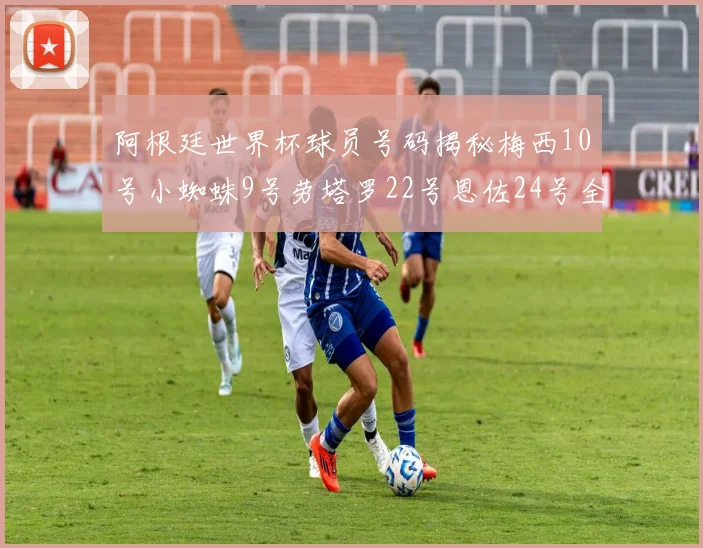 阿根廷世界杯球员号码揭秘梅西10号小蜘蛛9号劳塔罗22号恩佐24号全解析